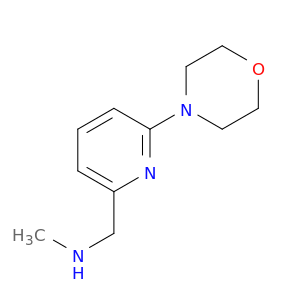methyl({[6-(morpholin-4-yl)pyridin-2-yl]methyl})amine