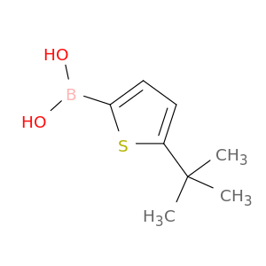 5-叔丁基噻吩-2-硼酸