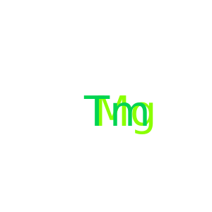 Magnesium, compd. with thulium (1:1)