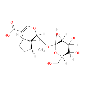 (1R,4AR,7S,7As)-1-(β-D-吡喃葡萄糖氧基氧基)-1,4a,5,6,7,7a-六羟基-7-甲基环戊酰基-吡喃-4-羧酸