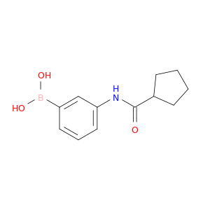 (3-(环戊烷甲酰胺)苯基)硼酸