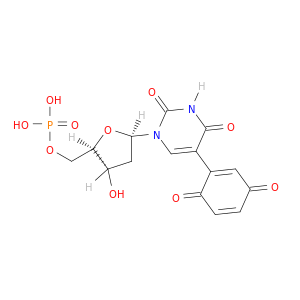 5'-Uridylic acid,2'-deoxy-5-(3,6-dioxo-1,4-cyclohexadien-1-yl)- (9CI)