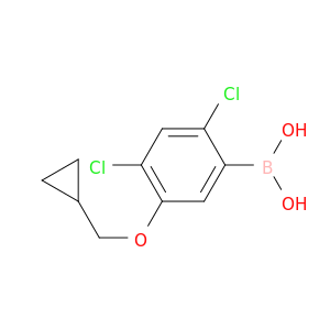 2,4-二氯-5-(环丙基甲氧基)苯基硼酸