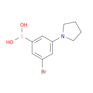 B-[3-溴-5-(1-吡咯烷基)苯基]硼酸