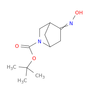 1,1-二甲基乙基5-(羟基咪唑酯)-2-氮杂双环[2.2.1]庚烷-2-羧酸盐