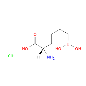 (S)-2-氨基-6-硼己酸盐酸盐