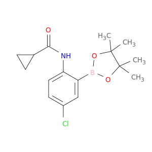 5-氯-2-(环丙基甲酰胺基)苯硼酸频那醇酯