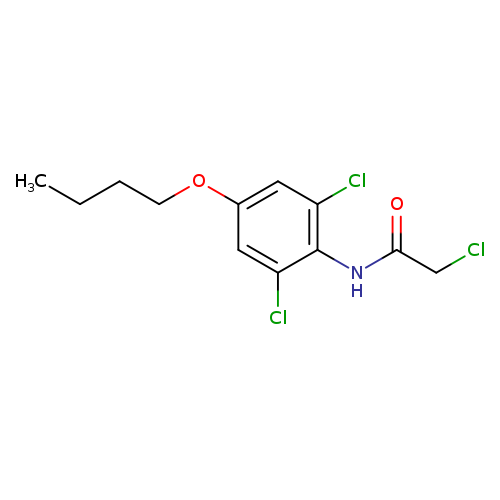 N-(4-Butoxy-2,6-dichlorophenyl)-2-chloroacetamide