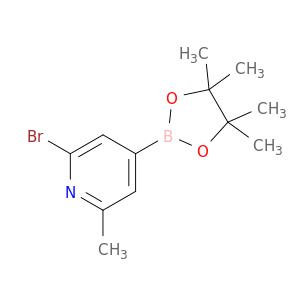 2-溴-6-甲基-4-(4,4,5,5-四甲基-1,3,2-二氧硼杂环戊烷-2-基)吡啶