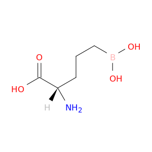 5-BORONO-L-NORVALINE