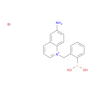 Quinolinium, 6-amino-1-[(2-boronophenyl)methyl]-, bromide